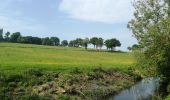 Percorso Mountainbike Caen - sortie dans les marais de vimont  - Photo 11