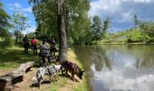 Trail Walking Habay - Mageroy ADEPS 2022 10 km - Photo 2