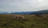 Tour Wandern Gemeinde Kirchberg in Tirol - Kirchberg - Pengelstein - Photo 3