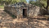 Excursión Senderismo Nages-et-Solorgues - Nages les capitelle - Photo 9