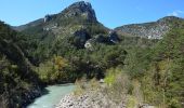 Randonnée Marche Trigance - Trigance - Belvédère de Trescaine - Pt du Tusset - Point Sublime - Rougon - Pt de Carajuan - Pt de Sautet - Photo 5