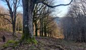 Tour Wandern Bliensbach - 2020-02-15 Marche Blancherupt Perheux - Photo 1