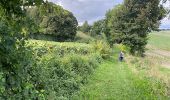 Randonnée Marche Sablons sur Huisne - Condé Les Sablons, vallée de l'Huisne - Photo 4