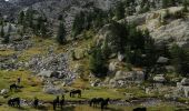 Tour Wandern Belvédère - Boucle vallon verrairiers, pas de l'Arpette en boucle - Photo 5