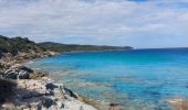 Tocht Stappen Saint-Florent - st Florent phare de Motella et plage Lotu - Photo 2