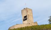 Tour Pferd Zell - Labaroche - kaysesberg - Photo 5