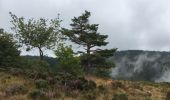 Randonnée Marche Cambon-et-Salvergues - Col de Fontfroide - Les Bourdils - Photo 5