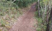 Trail Walking Montmeyan - les basses gorges de quinson - Photo 11