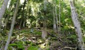 Tour Wandern Woll - Kastelberg des pierres, des lacs, des panoramas magnifiques  - Photo 10