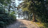 Trail Walking Prévenchères - BOUCLE AUTOUR DU CROUZET (PREVENCHERES) - Photo 8