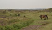 Tocht Te voet Texel - De Bollekamer - Photo 7