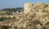 Trail On foot Mate Yehuda Regional Council - Meara stream - Photo 2