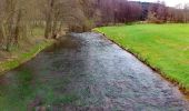 Tour Zu Fuß Burgsinn - Schwarzer Keiler, Rundweg Burgsinn - Photo 2