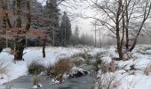 Percorso Marcia Spa - berinzenne entre fagne et bois dans le brouillard - Photo 15