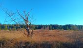 Trail Walking Eupen - nahtsief court - Photo 8