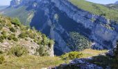 Trail Walking La Chapelle-en-Vercors - tour de loscense - Photo 11