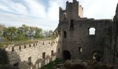 Tour Wandern Scherweiler - Scherwiller - Chateaux Ramstein-Ortenbourg-Berstein 2022-10 - Photo 12