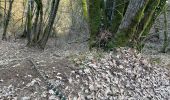 Trail  Cormot-Vauchignon - Cirque du bout du monde Nolay - Photo 1