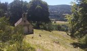 Trail Walking Thiézac - Puy de la poche  - Photo 4