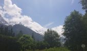 Tocht Stappen Chamonix-Mont-Blanc - les Tines à Chamonix le long de l'Arve - Photo 17