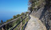Trail Walking Vernazza - RA 2019 Cinque Terre Corniglia Vernazza - Photo 9