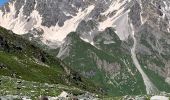 Excursión Senderismo Pralognan-la-Vanoise - Montaimont Cirque du Genepy-lac du Clou - Photo 8