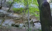 Randonnée Marche Buoux - Sivergues - Photo 9
