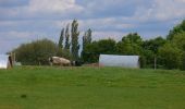 Tour Zu Fuß East Hampshire - Food and Farming Trails - Photo 4