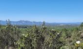 Excursión Senderismo Puget-sur-Argens - lieutenante Beaumeruine - Photo 3