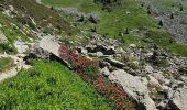 Trail Walking Laval-en-Belledonne - LES LACS DU VENETIER - Photo 16