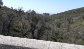 Excursión Senderismo Bormes-les-Mimosas - le Trapan,Brégançon, l'Estagnol,Leoube Pellerin  - Photo 6