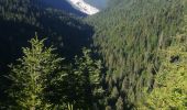 Tour Wandern Saint-Pierre-de-Chartreuse - col de la charmette 2019 - Photo 1