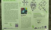 Trail Walking Canteleu - Forêt monumentale - Photo 19