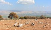 Percorso A piedi מועצה אזורית מבואות החרמון - מצוק רמות נפתלי - Photo 3