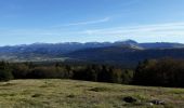 Trail Walking Vassieux-en-Vercors - Traversée de Vassieux au col de Rousset - Photo 2