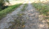 Trail On foot Beernem - Beverhoutsveld wandelpad - Photo 9