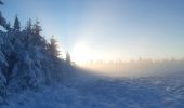 Randonnée Marche Waimes - botrange au dessus des nuages  - Photo 1