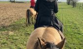 Trail Horseback riding Reherrey - Mardi 27 février 24 Tivio reherey  - Photo 3