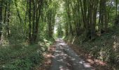Tour Wandern Villandry - Villandry - Vallères - 16.3km 145m 4h30 (1h) - 2025 06 12 - Photo 4