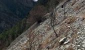 Trail Walking Braux - Chabrieres,Pelloussis,Argenton, Aurent, Col du Fa,Le Coulomp - Photo 9