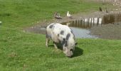 Tocht Stappen Marais-Vernier - 20220409-marais vernier  - Photo 14