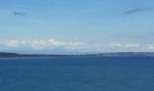 Trail Walking Leucate - la franqui - phare du cap de leucate / retour par la falaise et la plage  - Photo 13