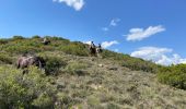 Trail Horseback riding Urriés - Bardenas jour 2 - Photo 5