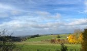 Randonnée Marche Neufchâteau - Molinfaing observatoire - Photo 16