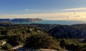 Randonnée Marche Marseille - Gardiole - Cap Gros - Crêtes de l'Estret - Photo 14