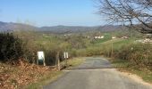 Tocht Stappen Ainhoa - Errebi boucle depuis carrière Ainhoa  - Photo 3