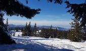 Tocht Sneeuwschoenen Corrençon-en-Vercors - Vers le Pas Ernadant et ses cabanes - Photo 5