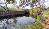 Randonnée Marche Le Revest-les-Eaux - La ripelle - barrage - Ragas - Olivières - Puit - Fourmis - Grottes de sable - Chateau Tourris - Mont combes - Touravelle - Chateau Ripelle                  - Photo 9