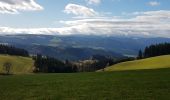 Tocht Stappen St. Märgen - Cascade Zweribach depuis Sankt Märgen - Photo 6