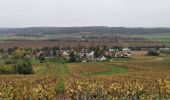 Excursión Senderismo Nogent-l'Artaud - RP51-06 Château-Thierry à Nogent-l'Artaud - Photo 11
